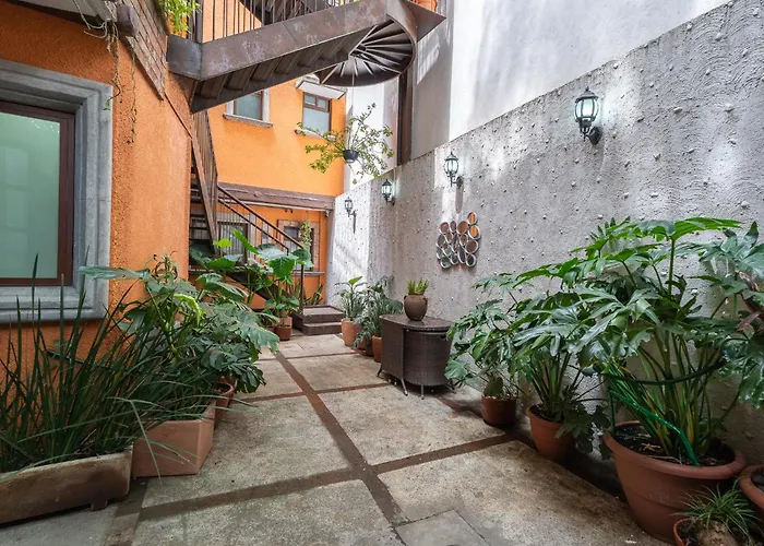 Apartamento Casa Lila - In The Heart Of Coyoacán México DF