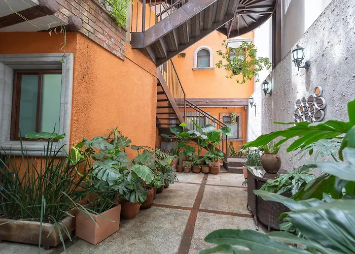 Apartamento Casa Lila - In The Heart Of Coyoacán México DF